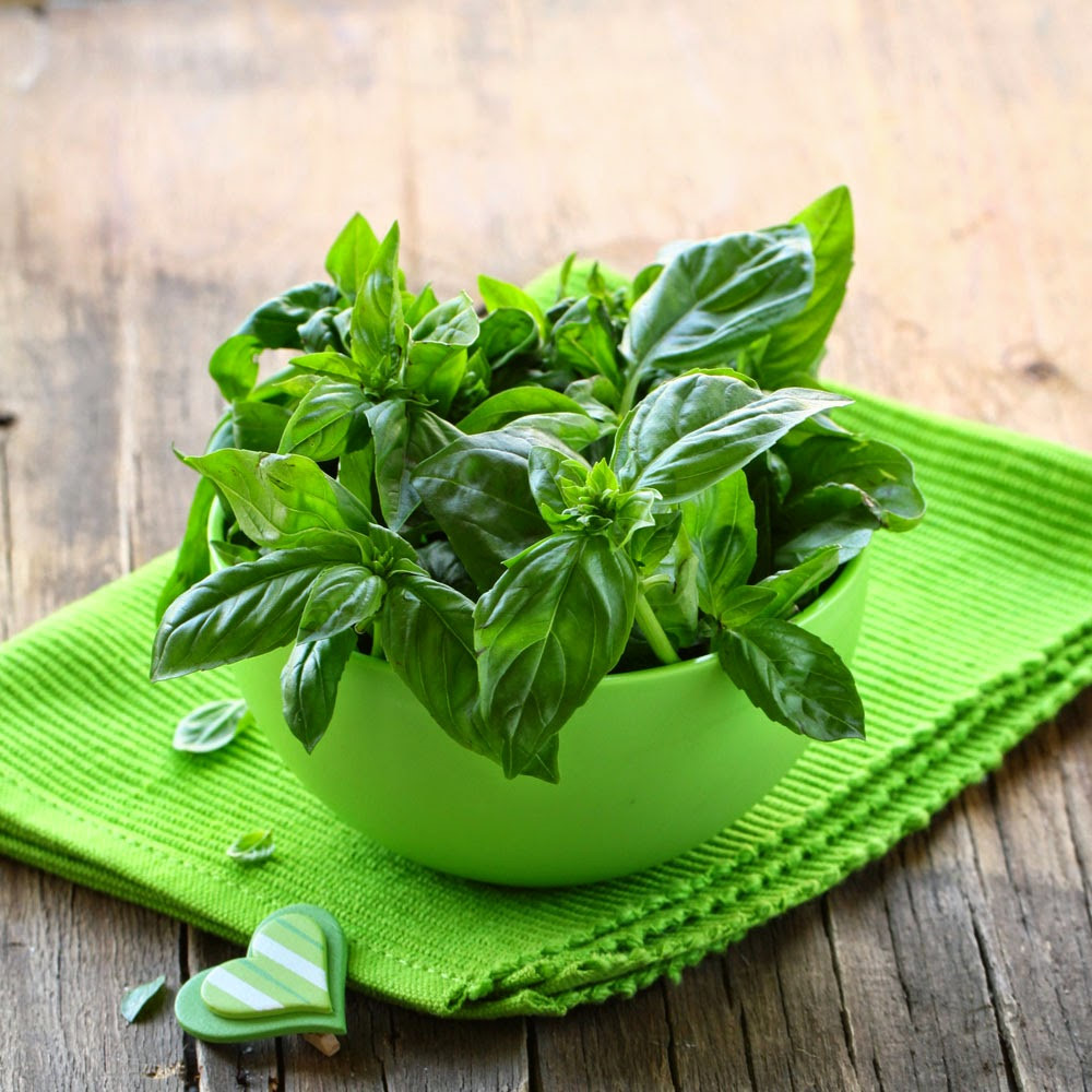 Lá Basil Khô Thương Hiệu Hava Foodies Gói 100g – Dried Basil Leaves ...